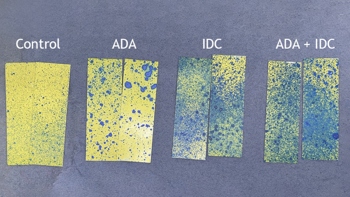 ADA_Assessment_BlogPostArticleImage1200x675