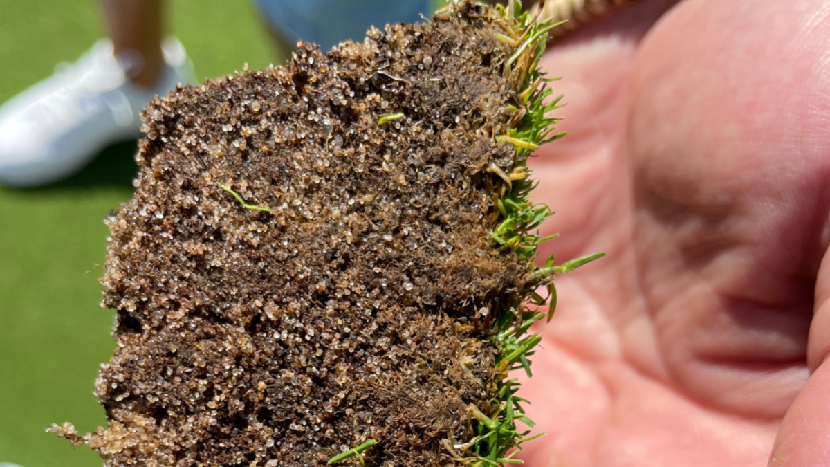 Bodenprofil 960x720 Varus01BlogPostArticleImage