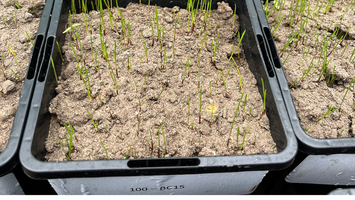 ClosingLoops_Image01_BlogPostArticleImage1200x675