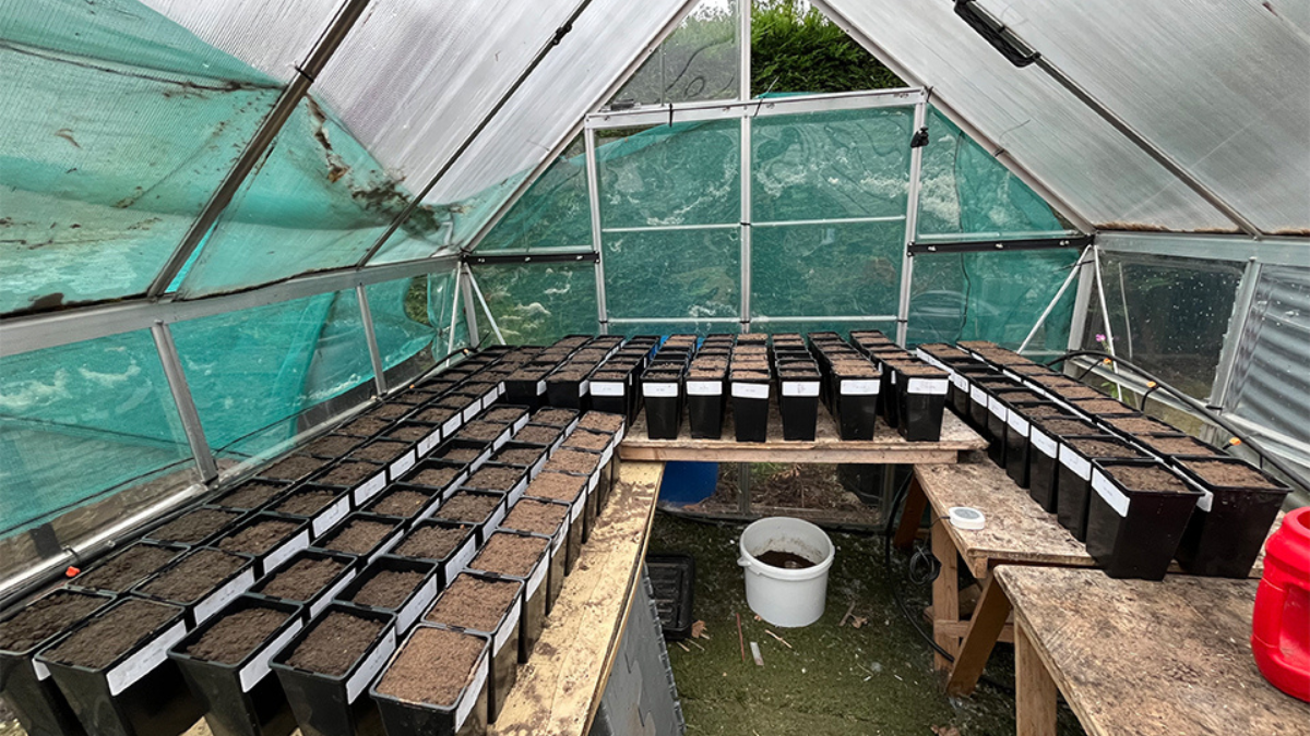 ClosingLoops_Image02_BlogPostArticleImage1200x675