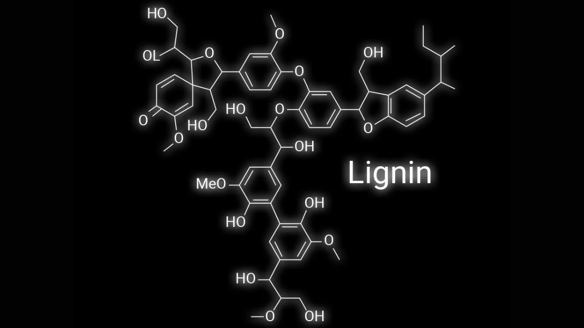 ETD_Lignin_BlogPostArticleImage1200x675