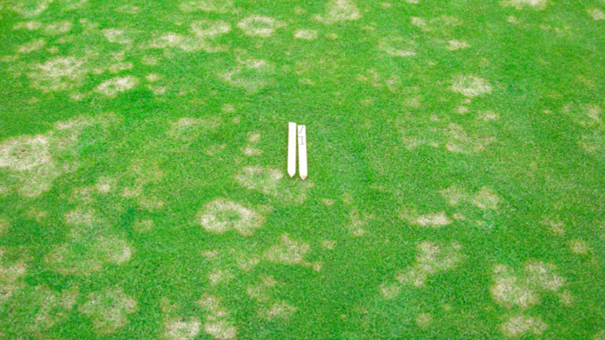 FDCHistory_FDC ubehandlet_BlogPostArticleImage1200x675