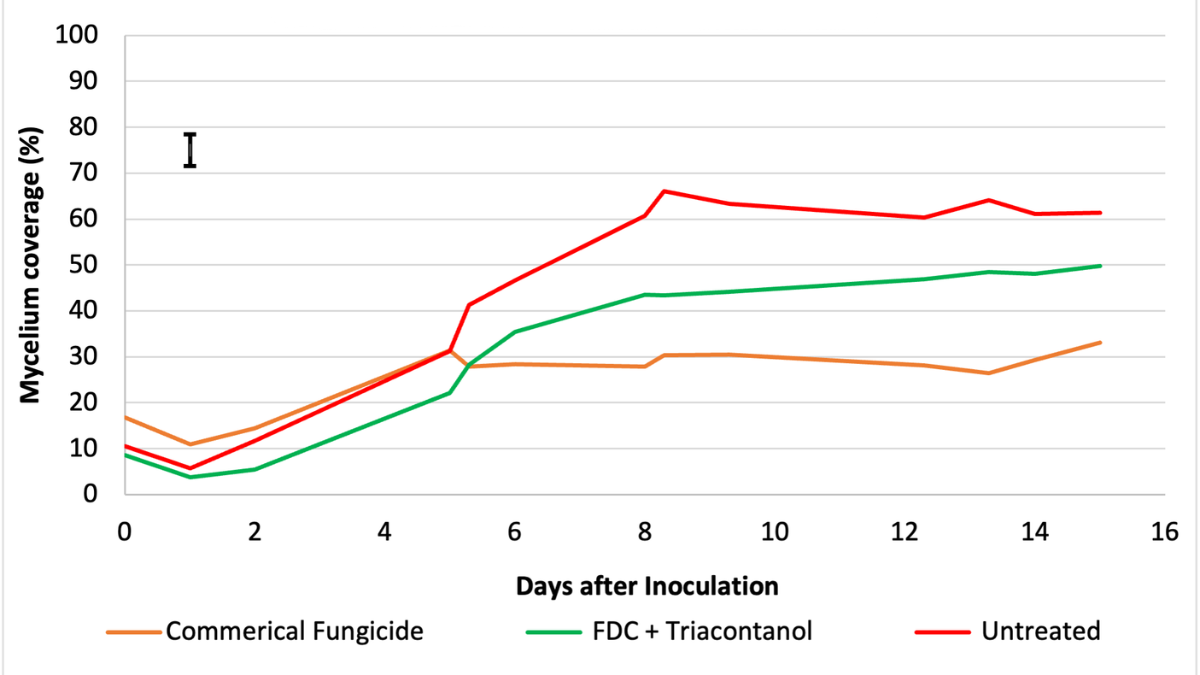 FDCHistory_Fig. 1 Mycelium coverage FDCTriacontanol_BlogPostArticleImage1200x675