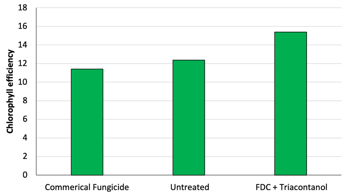 FDCHistory_Fig. 3 Chlorophyll efficiencyFDCTriacontanol_BlogPostArticleImage1200x675