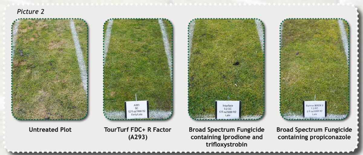 FDCHistory_WisconsinFDC_BlogPostArticleImage1200x675-1