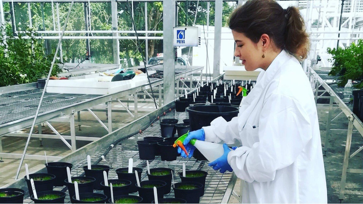 FDCHistory_lab work FDC_BlogPostArticleImage1200x675