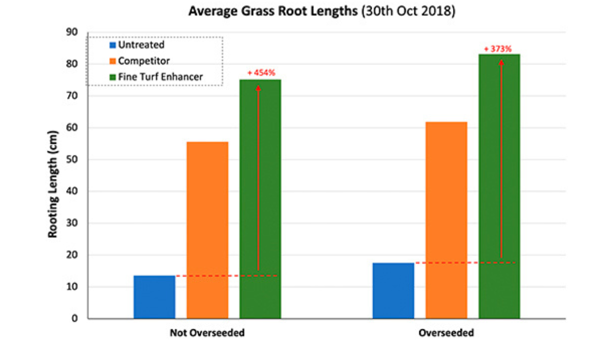 FTE_FTERootLength_BlogPostArticleImage1200x675