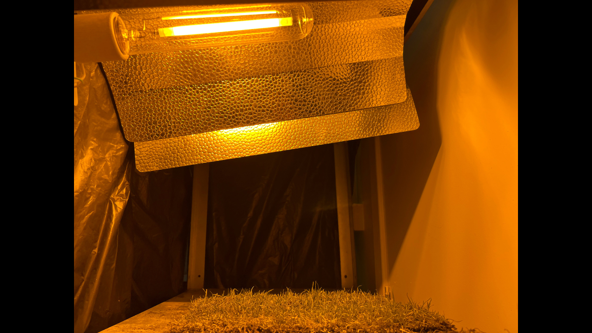 GTP26_LightSetUp_BlgImg1200x675