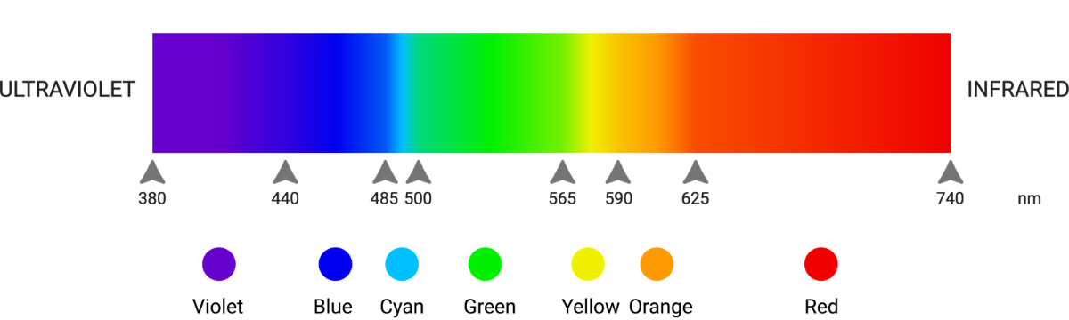 GTP26_VisibleSpectrumAdobeStock_350879135 BlgImg1200x675