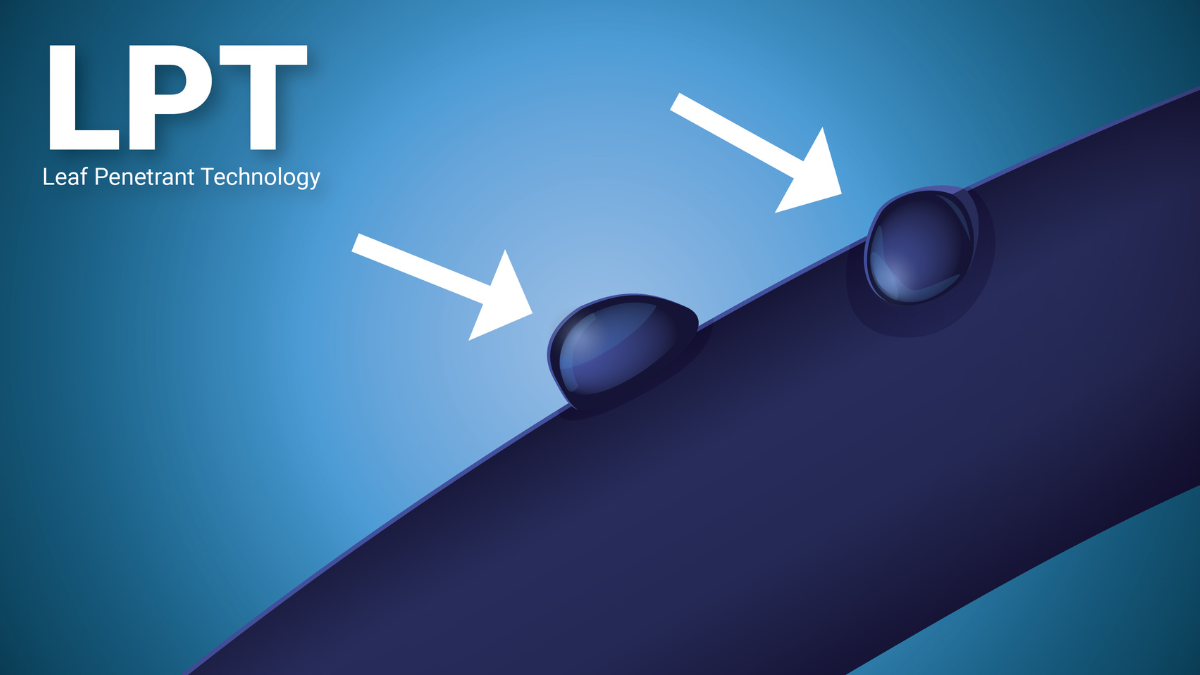 LPT_BlogPostArticleImage1200x675