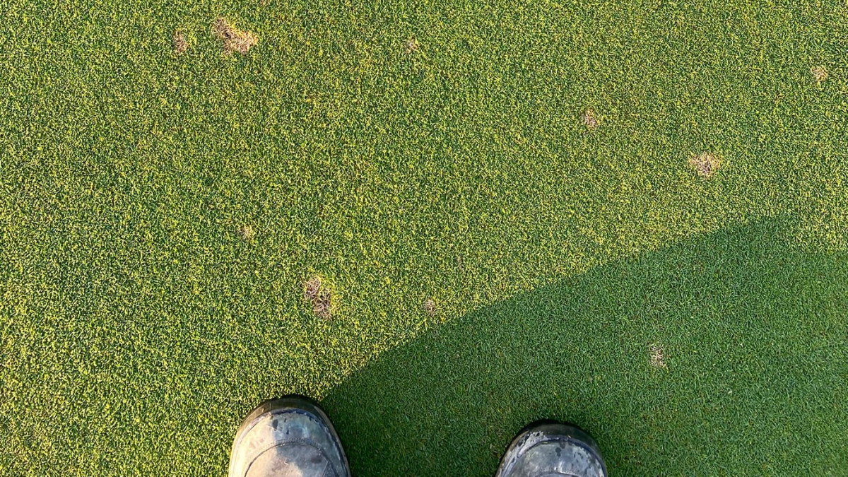 ML_DollarSpot_BlogPostArticleImage1200x675