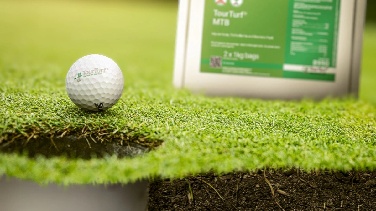 Myc_MTB_BlogPostArticleImage1200x675