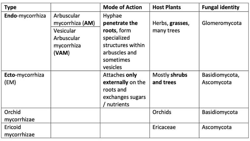 Myc_Type_BlogPostArticleImage1200x675-1