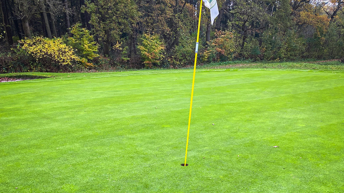 Oldenburgischer_BlogPostArticleImage1200x675_01