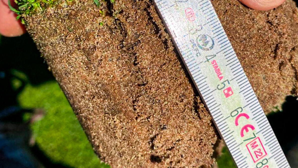 Oldenburgischer_BlogPostArticleImage1200x675_03