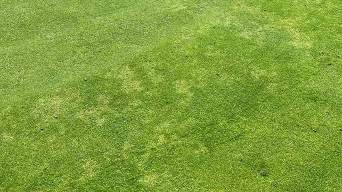 PPN_Combi_Sympt_BlogPostArticleImage1200x675