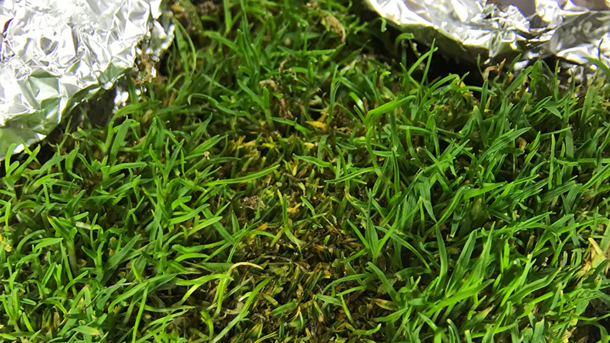 PPN_Sample_BlogPostArticleImage1200x675