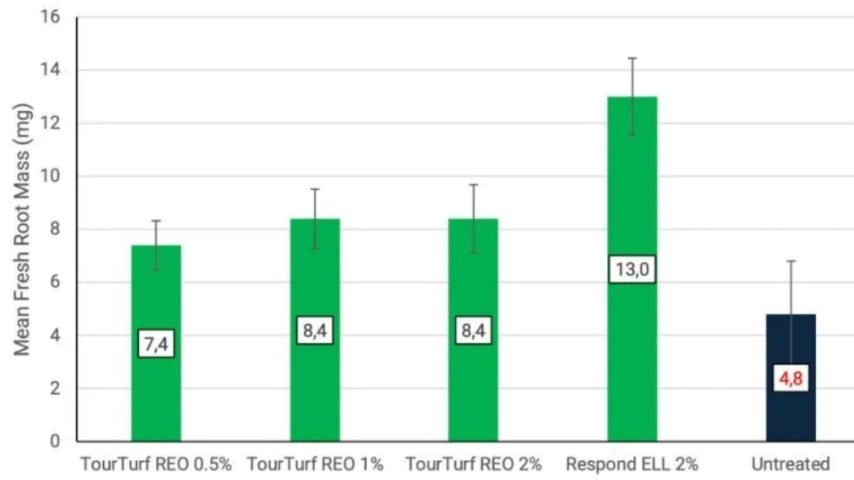 REO_Rootmass_BlogPostArticleImage1200x675