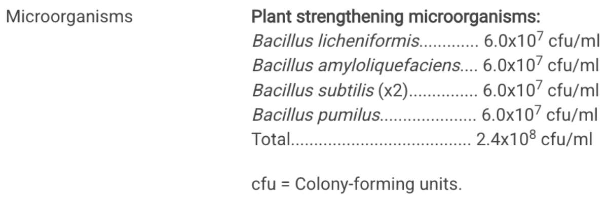 RecMicrobe_BAP_BlogPostArticleImage1200x675