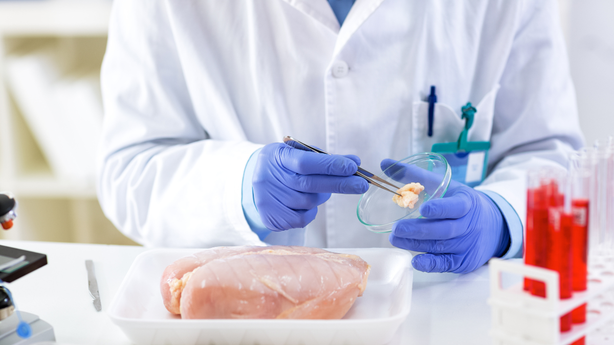 RecMicrobe_SalmonellaAdobeStock_186435610_BlogPostArticleImage1200x675