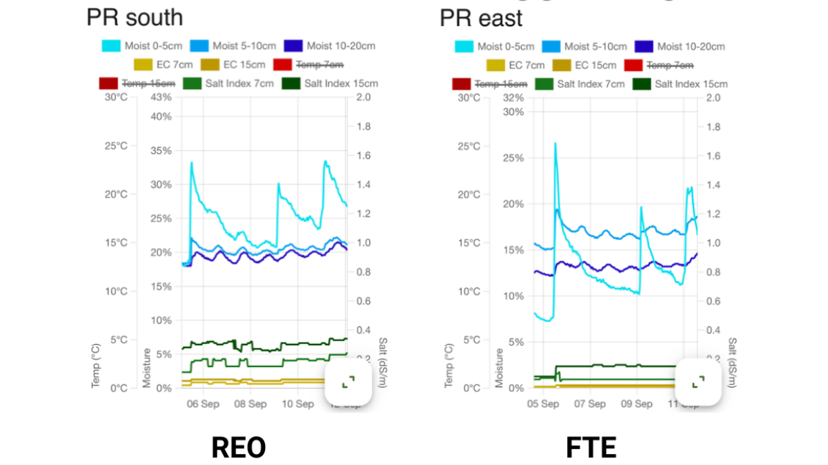 Reo BlogPostArticleImage