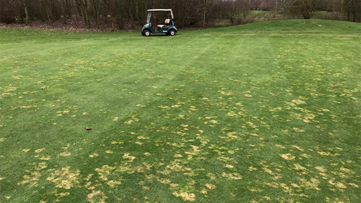 SpringStart_VarusGreen17spring_BlogPostArticleImage1200x675