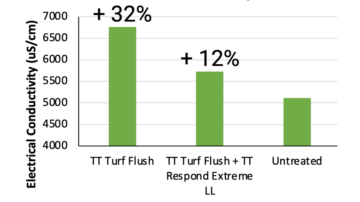 TSFGraph_ECFlushing_BlogPostArticleImage1200x675