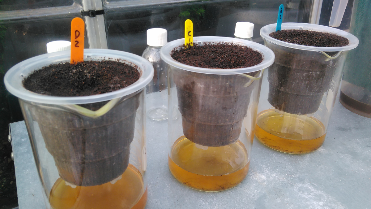 TSFLeachateAmmount_BlogPostArticleImage1200x675