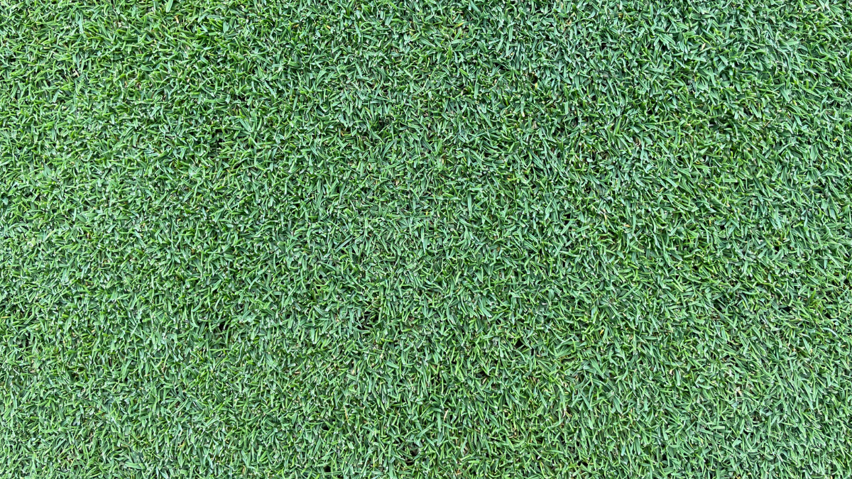 Varus_Turf_BlogPostArticleImage1200x675