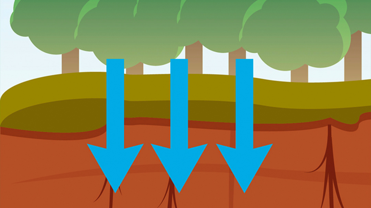 WA_EPT_Penetrant_BlogPostArticleImage1200x675