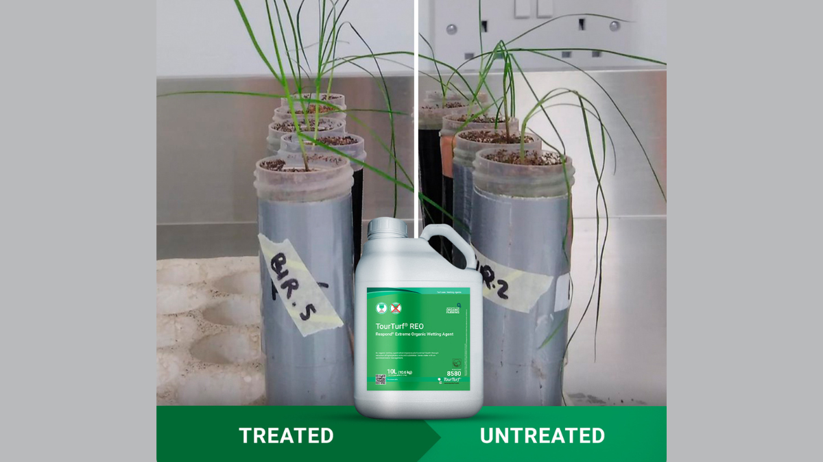 WA_REO_BlogPostArticleImage1200x675